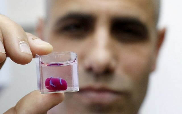 Professor Tal Dvir presents a 3D print of a heart with human tissue at Tel Aviv University on April 15, 2019. (Jack Guez/AFP)