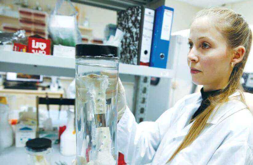 RESEARCHER in the lab of a biotech firm in Haifa holds a vial containing a bone graft earlier this month (photo credit: REUTERS)